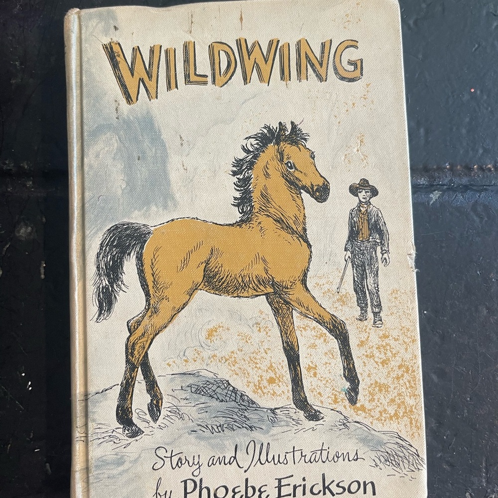Wildwing Illustrated Book by Phoebe Erickson